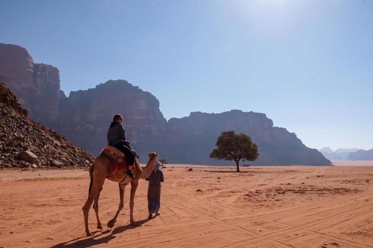 Wadi Rum Bedouin Camp&Desert Tours Buitenkant foto