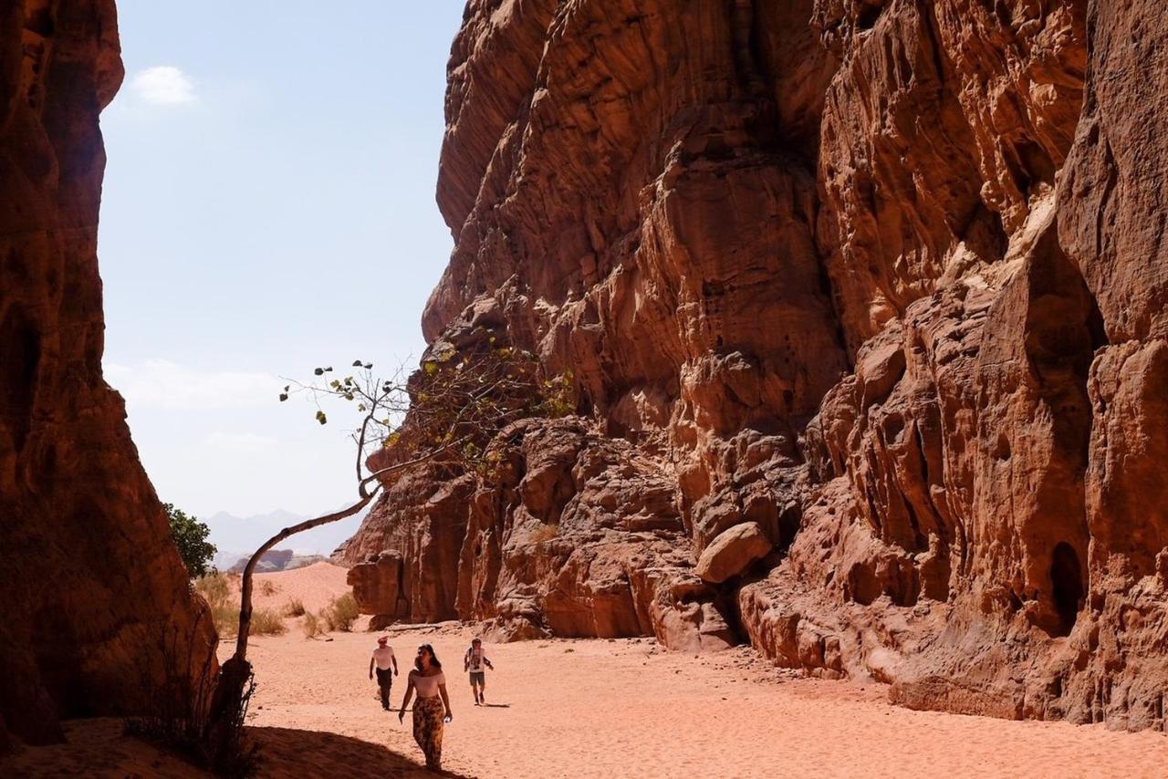 Wadi Rum Bedouin Camp&Desert Tours Buitenkant foto