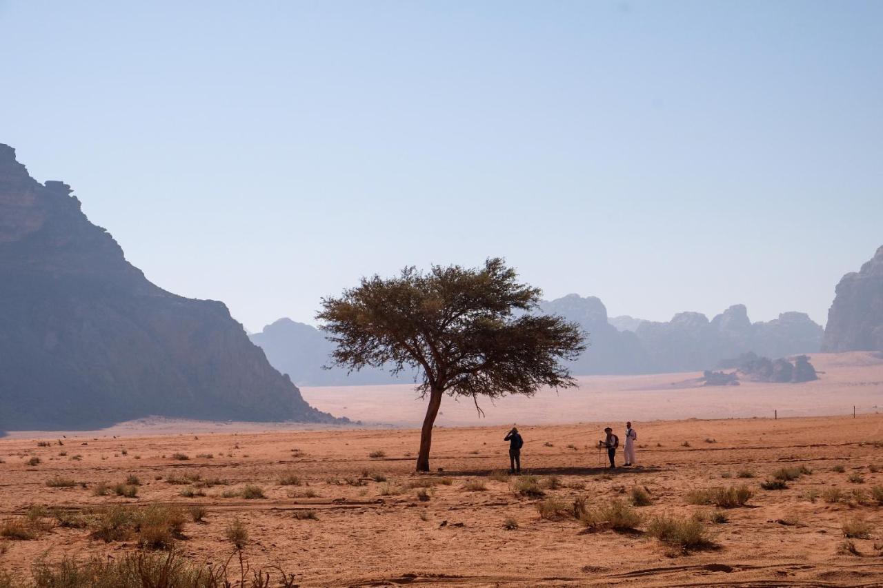Wadi Rum Bedouin Camp&Desert Tours Buitenkant foto